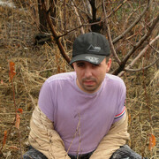 ���������� ������, ���� ������� �����, 44 ����, ������������ ��� ������, ����� � ���������, c�������� ���������