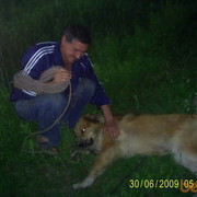 ���������� �����, ���� ������� ����, 55 ���, ������������ 