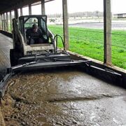 ���������� �����-���������, ���� ������� ���������, 53 ����, ������������ 