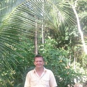 ���������� �����, ���� ������� ����, 49 ���, ������������ ��� ������