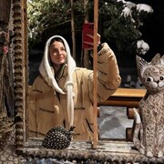 ���������� ����, ���� ������� ����, 27 ���, ������������ ��� ����� � ���������, c�������� ���������