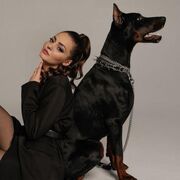 ���������� ������, ���� ������� �������, 40 ���, ������������ ��� ����� � ���������, c�������� ���������