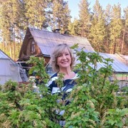 ���������� ������������, ���� ������� �����, 57 ���, ������������ ��� ����� � ���������, c�������� ���������