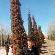  ,   , 25 ,   ,   , c 