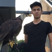 ���������� �����, ���� ������� �����, 31 ���, ������������ ��� ������, ����� � ���������, c�������� ���������