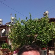  ,   , 44 ,   ,   , c 