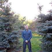 ���������� ������, ���� ������� ����, 40 ���, ������������ ��� ������, ����� � ���������, c�������� ���������