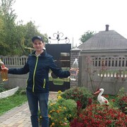  ,   , 41 ,   , 