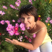 ���������� �����, ���� ������� ����, 62 ����, ������������ ��� ����� � ���������, c�������� ���������