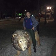 ���������� ���������, ���� ������� ������, 28 ���, ������������ ��� ������, ����� � ���������, c�������� ���������, ���������