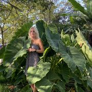 ���������� �����-���������, ���� ������� ���������, 42 ����, ������������ ��� ����� � ���������, c�������� ���������