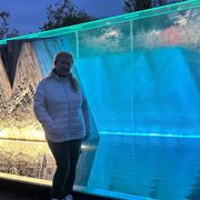  Monchengladbach,   , 63 ,   ,   , c , 
