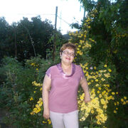 ���������� �������, ���� ������� ������, 54 ����, ������������ ��� ������, ����� � ���������, c�������� ���������