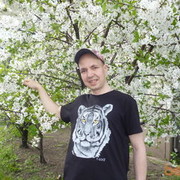 ���������� ������, ���� ������� �������, 44 ����, ������������ ��� ����� � ���������, c�������� ���������