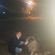 ���������� ������, ���� ������� ������, 37 ���, ������������ ��� ����� � ���������, c�������� ���������