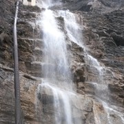 ,   , 55 ,     , c 