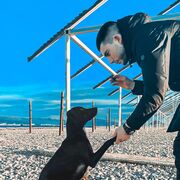 ���������� ������������, ���� ������� ������, 29 ���, ������������ ��� ������, ����� � ���������, c�������� ���������