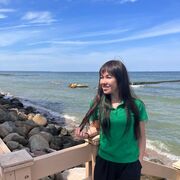 ���������� �������, ����������