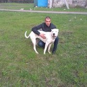 ���������� ��������, ���� ������� �����, 40 ���, ������������ ��� ������, ����� � ���������, c�������� ���������