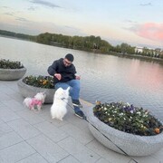 ���������� ������, ���� ������� ����, 32 ����, ������������ ��� ������, ����� � ���������, c�������� ���������, ���������