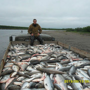 ���������� ���������, ���� ������� ����, 36 ���, ������������ ��� ������, ����� � ���������, c�������� ���������