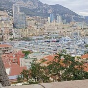 ���������� ����������, ���� ������� �������, 42 ����, ������������ ��� ������, ����� � ���������, c�������� ���������, ���������