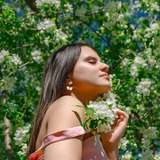 ���������� �����-���������, �������