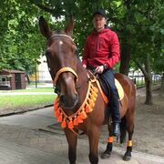 ���������� ������, ���� ������� ������, 37 ���, ������������ ��� ������, ����� � ���������, c�������� ���������, ���������