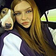 ���������� ����������, �������