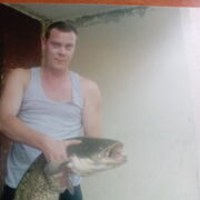 ���������� ������, ���� ������� ������, 43 ����, ������������ ��� ������, ����� � ���������, c�������� ���������, ���������