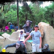  ,   , 45 ,   