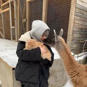 ���������� ������, ���� ������� �����, 23 ����, ������������ 