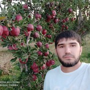  ,  javohir, 34