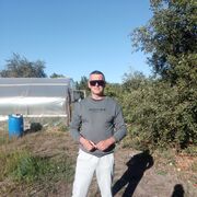 ���������� ��������, ���� ������� �����, 43 ����, ������������ ��� ������, ����� � ���������