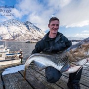 ���������� ������� ��������, ���� ������� ALEX, 55 ���, ������������ ��� ������, ����� � ���������, c�������� ���������