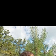   ,  , 50