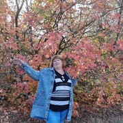 ���������� ���������, ���� ������� ��������, 66 ���, ������������ ��� c�������� ���������