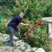  --,   Elman, 42 ,     , c 