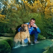 ���������� �����������, ���� ������� �����, 43 ����, ������������ ��� ������, ����� � ���������, c�������� ���������