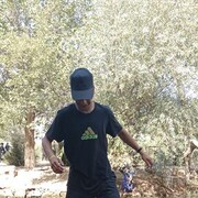  ,   Ulugbek, 24 ,   ,   