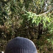 ���������� �����, ���� ������� ��������, 39 ���, ������������ ��� ������, ����� � ���������, c�������� ���������