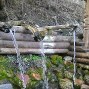 ���������� �������, ���� ������� ���������, 62 ����, ������������ ��� ������, ����� � ���������, c�������� ���������