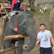 ���������� �����������, ���� ������� ��������, 37 ���, ������������ ��� ������, ����� � ���������