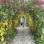  ,   , 55 ,   ,   , c 