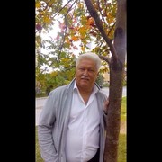  -,   , 65 ,  