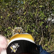 ���������� �����, ���� ������� ���������, 36 ���, ������������ ��� ������, ����� � ���������, c�������� ���������