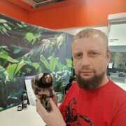 ���������� �����, ���� ������� �������, 39 ���, ������������ ��� ������, ����� � ���������, c�������� ���������, ���������