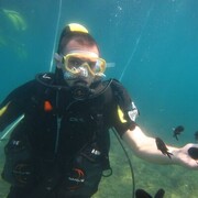 ���������� ������, ���� ������� ����, 45 ���, ������������ ��� ������, ����� � ���������, c�������� ���������