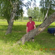  ,   , 54 ,   