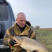  ,   , 48 ,   ,   